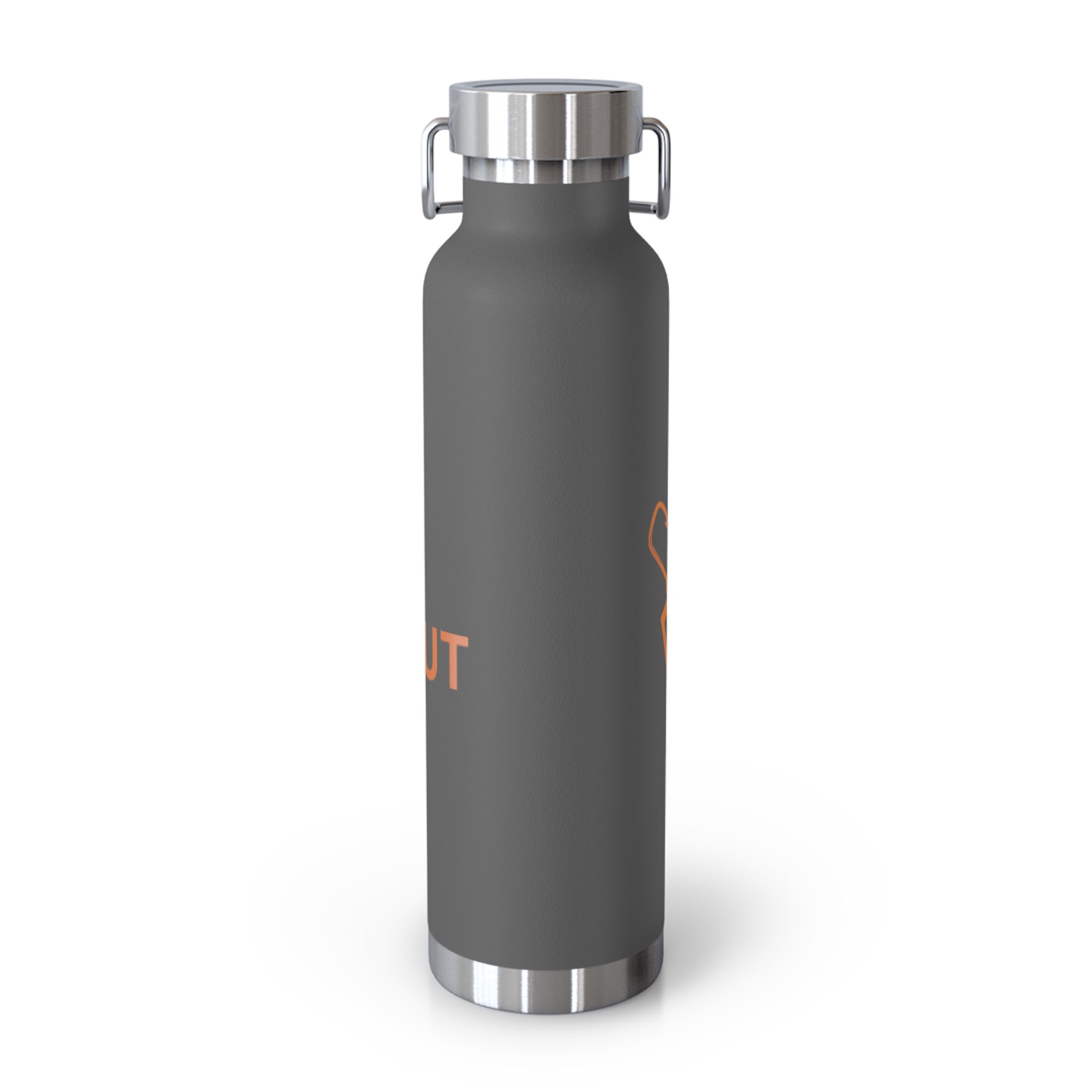 INSULTAED 22OZ WATER BOTTLE